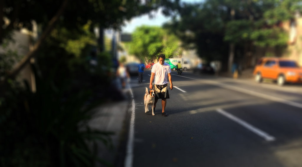 Dog walking, does it count as an exercise? 11 Dog walking, does it count as an exercise? 10
