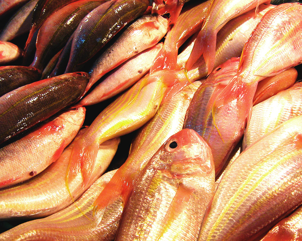 Special Kinamatisang Bisugo Soup 1