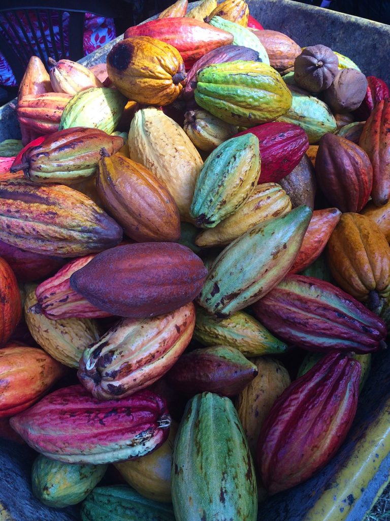 How To Make Chocolate Tablea from Cacao 1