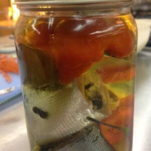 Baby Bangus Sardines in a bottle!