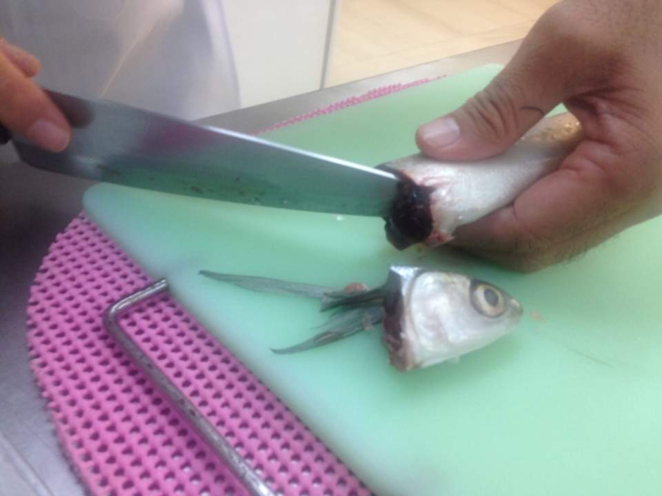 How to clean Baby Bangus Sardines