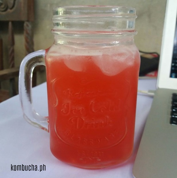 What the Heck is Kombucha Tea and WIIFY? 3 What the Heck is Kombucha Tea and WIIFY? 3