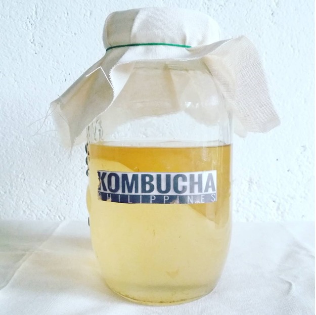 What the Heck is Kombucha Tea and WIIFY? 6