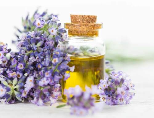 Lavender Essential Oil – Awesome Recipe Ideas For The Homemade DIY Crafter
