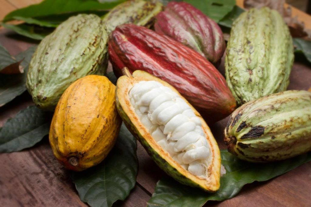 HIRAYA Filipino Bean-To-Bar Artisan Chocolates 1