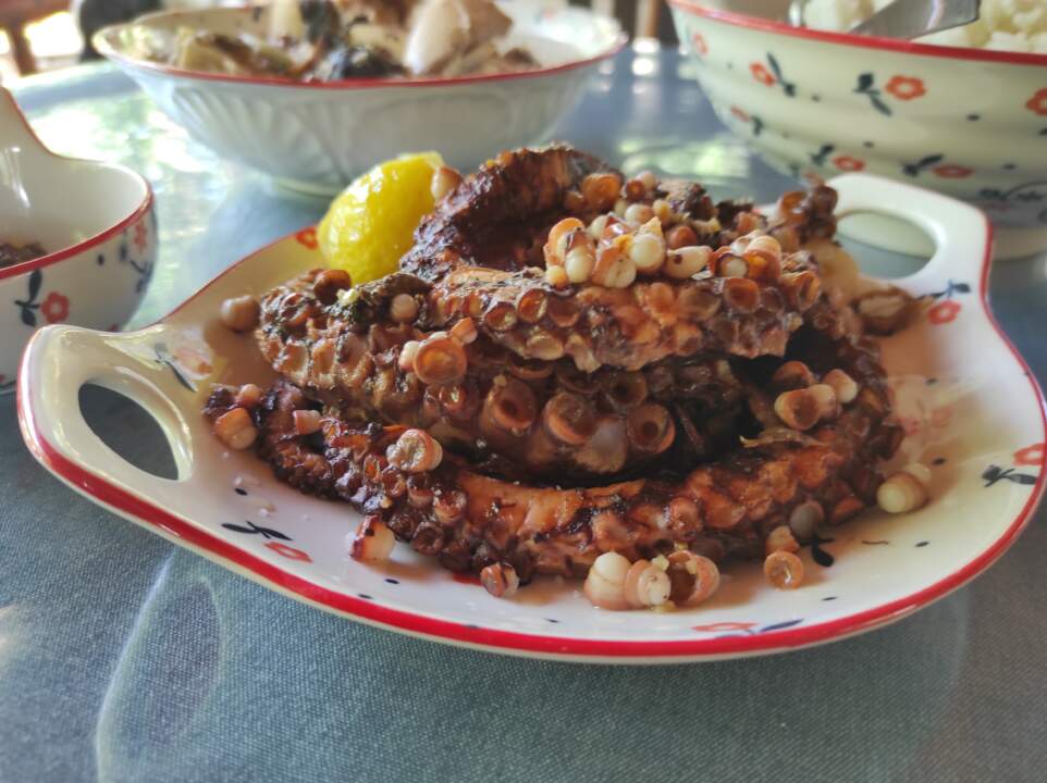 The Best Grilled Octopus - Recipes and Tips to Make This Delicious Seafood Dish! 1