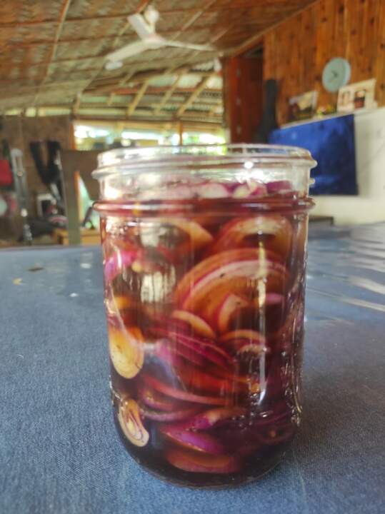 Quick Pickled Onions Recipe 1 Quick Pickled Onions Recipe 1