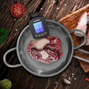 Inkbird WIFI Sous Vide Machine