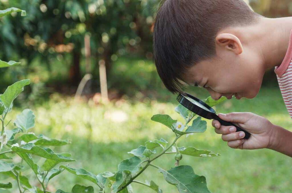 What is Unschooling Homeschooling? An Island Mom's Take on This Alternative Education Method 1 What is Unschooling Homeschooling? An Island Mom's Take on This Alternative Education Method 1