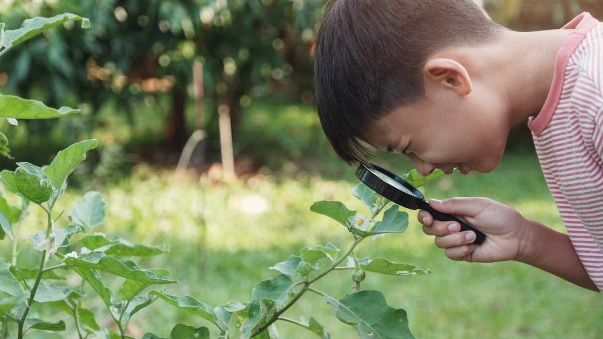 Simple Parenting Tips, Home Tricks, Life Hacks, and Easy Recipes ​ 38