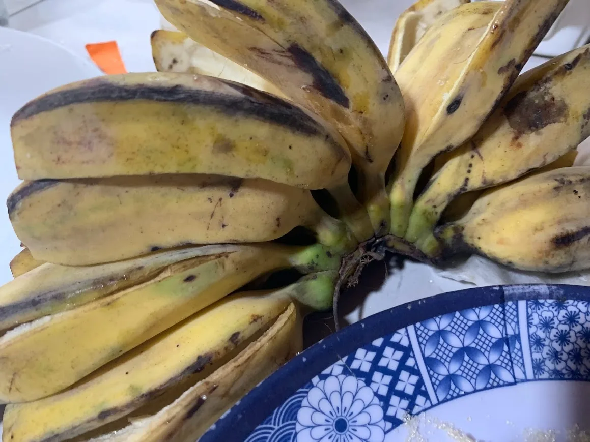 saba